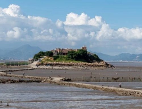 Environment ministry approves Mumbai’s coastal zone