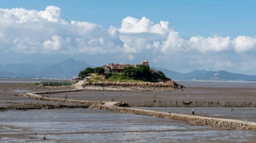 real estate agent blog by Ace Realty