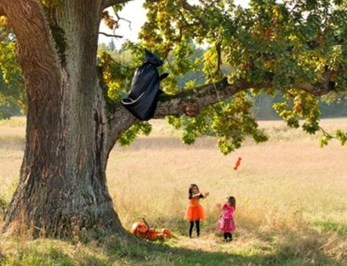 No environment clearance needed for construction