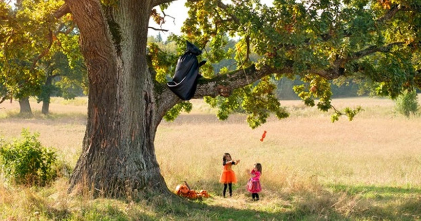 best property bloggers in mumbai by Ace Realty