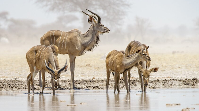 best real estate blogs – Ace Realty