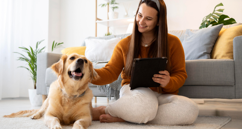 How to move with pets practical tips for pet owners