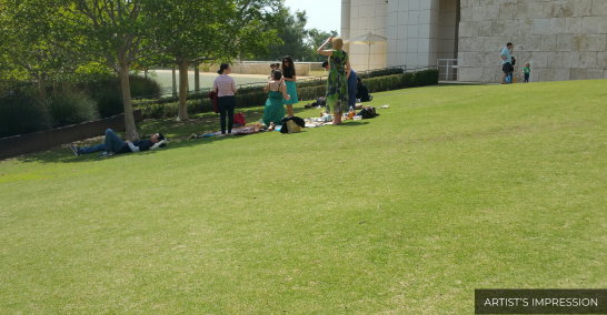 Socio-cultural Lawn