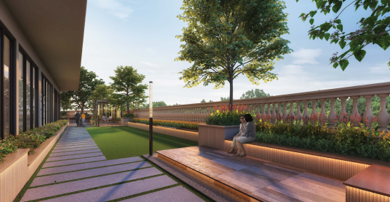 Lawn Area