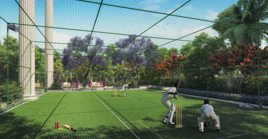 Multi Purpose Turf