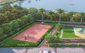 Table Tennis Court